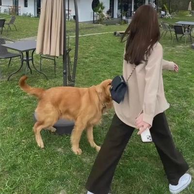边城妖姬